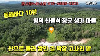 (394) ((4900만원))영덕땅 동해바다 10분 영덕 신돌석장군 생가마을 산으로 둘러 쌓인 길 막장 고사리 밭 년간 700만원 소출