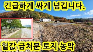 헐값 토지 농막 몽땅 가져가세요~ 국유지 공짜 사용~ 계곡물 철철~ 상수도완비, 전기, 정화조, 가설건축물 신고, 도로포장, 건축가능, 제방정비완료 몽땅 4,600만원 완전 싸게~