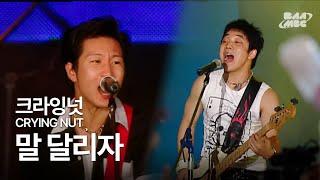 크라잉넛(CRYING NUT) - 말 달리자 오늘 신곡 발매 @2005 스퀘어 콘서트