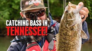 Trout, Bass and maybe Musky in Tennessee!? |  Road Trip Angler