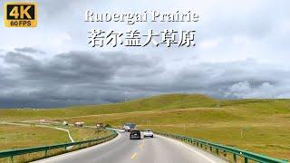 Driving in China's second largest grassland - Ruoergai Prairie - 4K