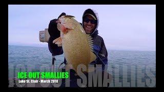 Ice OUT Smallmouth - Lake St. Clair 2018