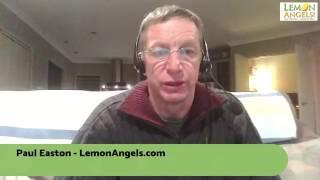 Introduction To LemonAngels.com