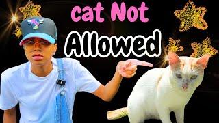 Cat Not Allowed in House | Cat Spraying Everywhere