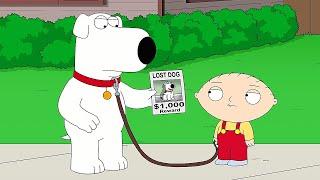 Family Guy Season 22 Ep 19 Full Episode -  Family Guy Full 2024 NoCuts NoZoom #1080p