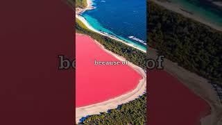 The Pink Lake 