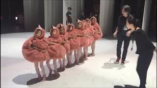 Hong Kong Ballet Taiwan Tour- Baby Flamingos