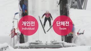 (KOR/ENG) [동계스포츠 교육] "허공을 나는 스포츠"- 스키 점프 All about Ski Jumping