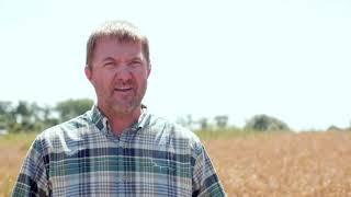 Wide Row Corn, Intercropping, Relay Cropping