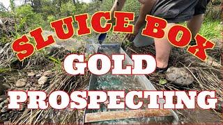  SLUICE BOX GOLD PROSPECTING - DO WE GET LUCKY ?  #gold #goldmining #goldrush