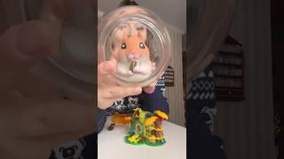 The worlds biggest vs smallest hamster!  #pets