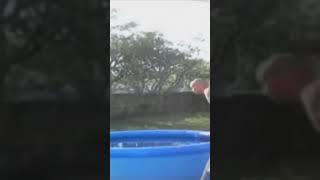 Epic Swimming Jump Fails That Will Make You Splash with Laughter!  #ComedyGold #HilariousHits