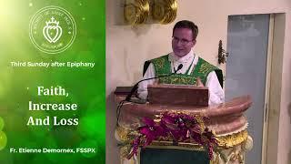 Faith, Increase and Loss - Sermon by Fr Demornex (26 Jan 2025)