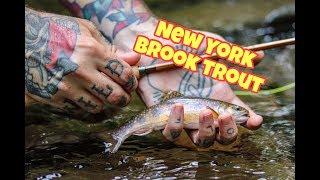 How to: Fly Fishing for Brook Trout in the Catskills