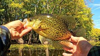 Fall Crappie fishing - Tips and techniques