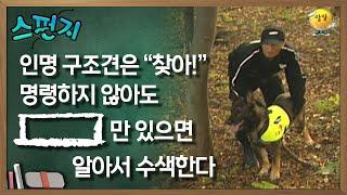 인명 구조견은 찾아라고 명령하지 않아도[           ]만 있으면 알아서 수색한다. [스펀지 레전드] | KBS 051015 방송