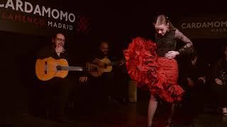 Irene Olvera por alegrías • Tablao Cardamomo • Becas Cardamomo Flamenco