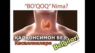 ️БЎҚОҚ Аломатлари! ҚАЛҚОНСИМОН БЕЗ КАСАЛЛИКЛАРИ Турлари ва Белгилари