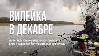 Клюёт ли на Людвиново в декабре? Секреты зимней фидерной рыбалки