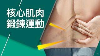 【居家運動】核心肌肉鍛鍊運動 / 下腰背痛運動 Core Exercises for Low Back Pain