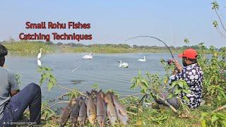 Small Rohu Fishes Catching Techniques | ABS Fishing Videos in Hindi