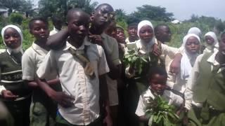 SALES: School Gardening Project (Agric Club), Nigeria.