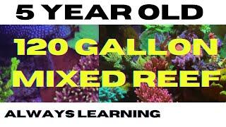 A FIVE YEAR OLD, 120 MIXED REEF AQUARIUM - ALWAYS LEARNING