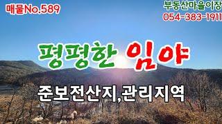 매물No.589 경북 의성군 안사면 관리지역 의성임야 경북임야 의성땅 의성토지 매매