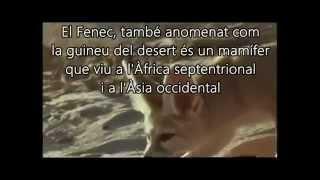 El Fenec (Documental)