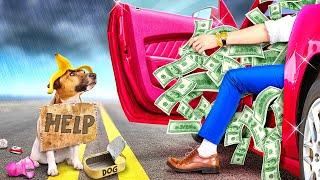 Rich Guy Saved a Poor Dog From the TRASH CAN! *Coolest DIY and Gadgets for Pets*