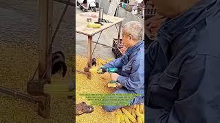 Innovative Corn Sheller: Power Drill in Action