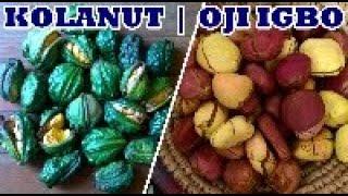 Kolanut (Oji na Nkowa Oji): Meaning & Significance | Odinana Igbo