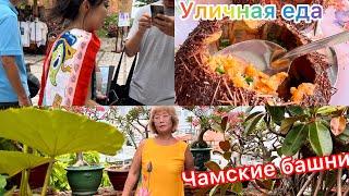 Уличная еда Вьетнама/ Чамские башни Понагар/