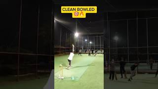 Maiden wicket over indoor cricket  #cricket #shorts