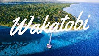 Scuba Diving Wakatobi Dive Resort Indonesia