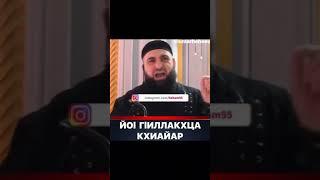 Умар Хехоев йо1 г1иллакхца кхиайар