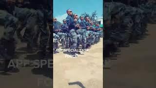 Armed Police Force (STF) Jay Nepal