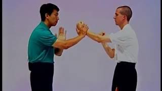 Slapping Hand Drills 1 - Pak Sau 1