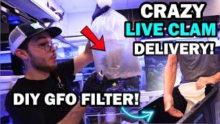 Giant Reef Aquarium Clams + DIY GFO Sediment filter!