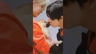 ni-ki playing with the dog even before their fansign event  #ni_ki #nishimurariki #enhypen #engene