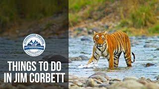 Things To Do In Jim Corbett