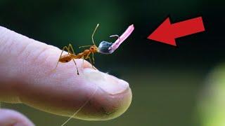 Worlds SMALLEST Fishing Lure! What Will it Catch?! (BIG FISH)