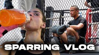 It might be too hot.... | SPARRING VLOG