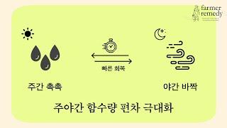 독자적인 기술의 다층구조 배지, Farmer Remedy