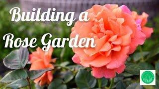 Building a Rose Garden