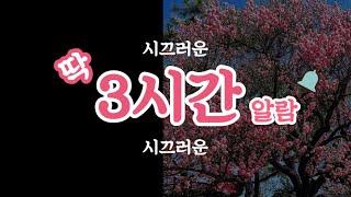 딱 3시간 알람(countdown timer)_시끄러운 버젼