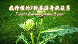 我种植的7种英国奇葩蔬菜 7 weird British vegetables I grow 种植体会 到底值不值得家庭种植?可以吃的花园 第38集 The Edible Garden 38 CC字幕