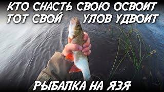 Кто снасть свою освоит, тот свой улов удвоит! / Рыбалка на язя