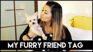 My Furry Friend Tag | AllAboutAnika