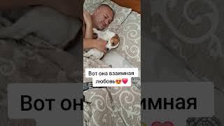 идиллия века #jackrussel #джекрасселтерьер #сонечка #shorts #dog